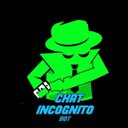 Chat Incognito India — Telegram bot